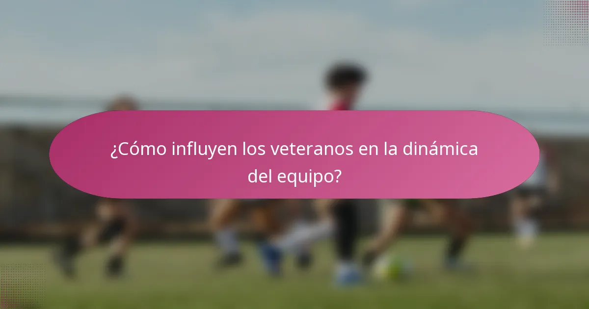 ¿Cómo influyen los veteranos en la dinámica del equipo?